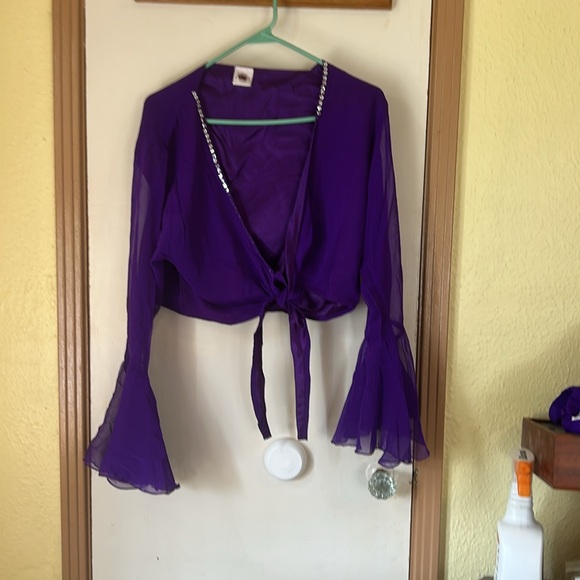 Vibrant Purple Belly Dancing outfit - Picture 2 of 3